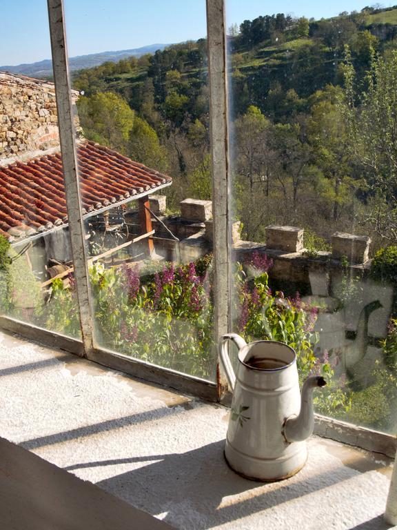 Ermitage Saint Vincent B&B Vieille-Brioude Ngoại thất bức ảnh