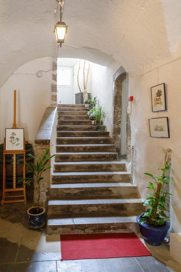 Ermitage Saint Vincent B&B Vieille-Brioude Ngoại thất bức ảnh